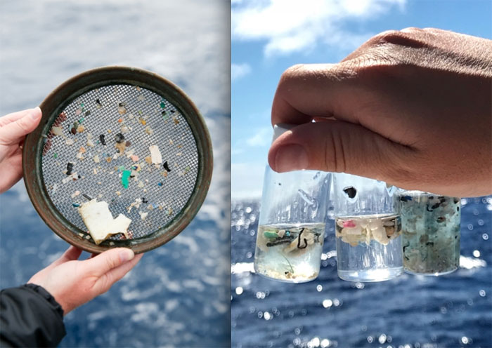 Hạt vi nhựa - Hiểm họa khôn lường đối với đại dương