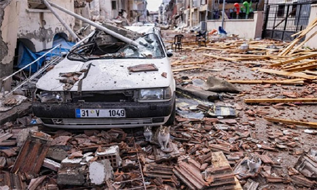 Hệ thống AI giúp cứu nạn nhân động đất ở Thổ Nhĩ Kỳ