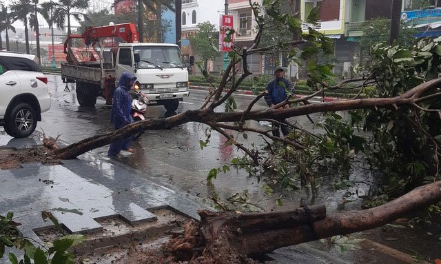 Hình ảnh bão số 12 thổi xiêu vẹo người đi đường, quật đổ cây xanh