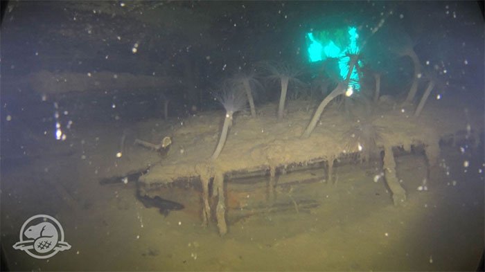 Hình ảnh kinh ngạc về con tàu đóng băng thời gian sau gần 200 năm chìm dưới đáy biển