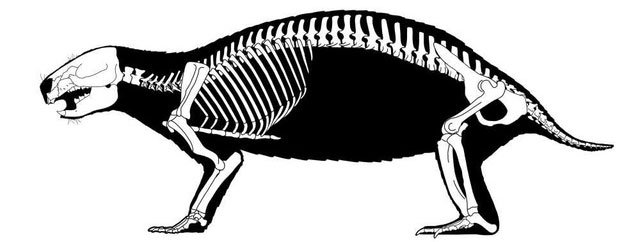 Hình dạng kỳ dị của loài quái thú điên rồ 66 triệu năm tuổi