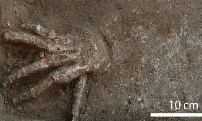 Hố chôn 12 bàn tay hé lộ tập tục của Ai Cập cổ đại
