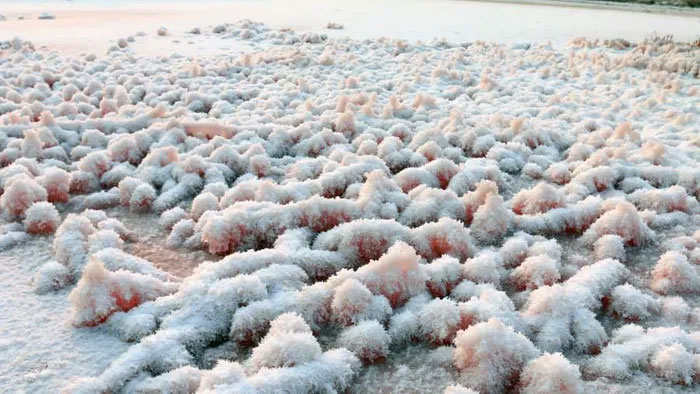 Hồ Muối Yuncheng - Biển chết rực rỡ của Trung Quốc