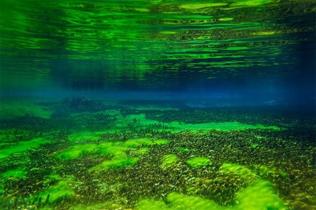 Hồ nước trong sạch nhất thế giới