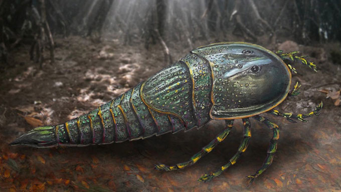 Hóa thạch 252 triệu năm hé lộ bọ cạp biển khổng lồ cực đáng sợ