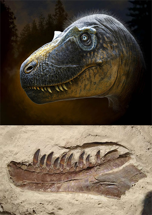 Hóa thạch 76,5 triệu năm tiết lộ tổ tiên của khủng long T-rex