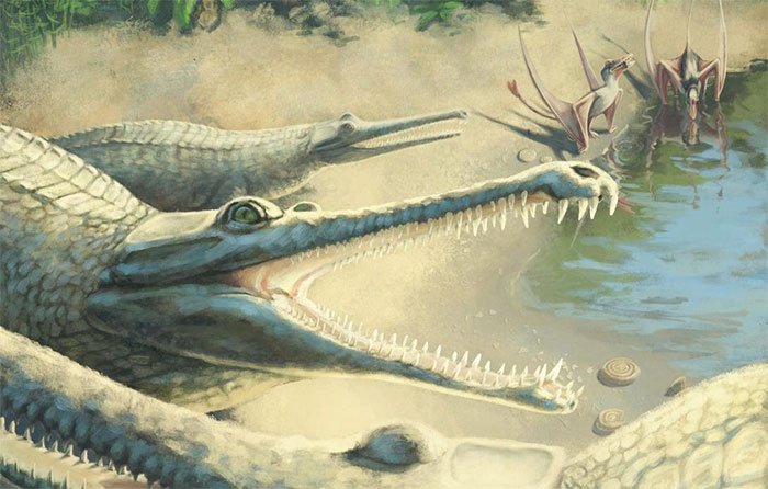 Hóa thạch kỷ Jura tiết lộ loài cá sấu mõm dài mới