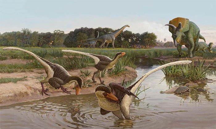 Hóa thạch kỷ Phấn Trắng tiết lộ loài khủng long mới