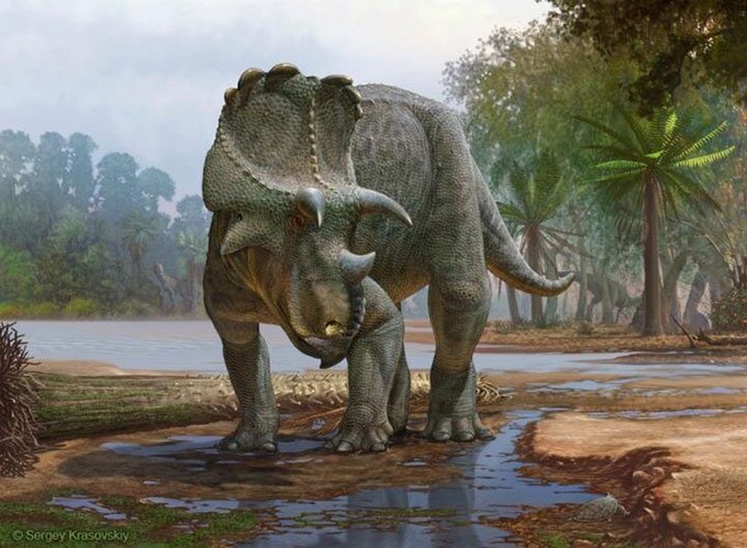 Hóa thạch tiết lộ loài khủng long có sừng cổ xưa nhất