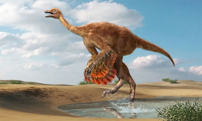 Hóa thạch tiết lộ loài khủng long giống đà điểu nặng 800kg