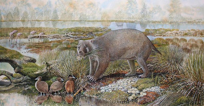 Hóa thạch tiết lộ loài thú túi khổng lồ