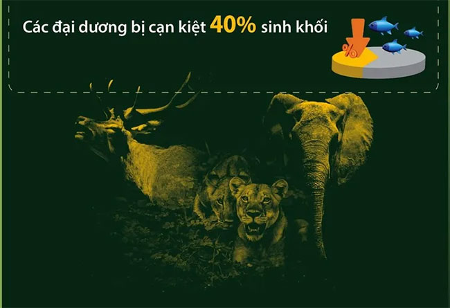 Hơn 70% quần thể động vật hoang dã biến mất trong 50 năm