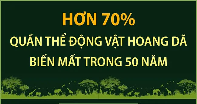 Hơn 70% quần thể động vật hoang dã biến mất trong 50 năm