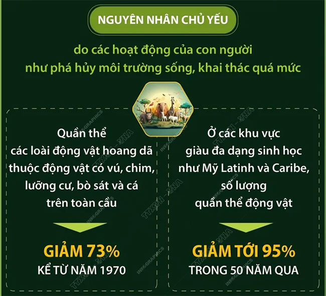 Hơn