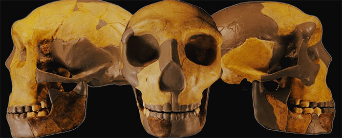 Hộp sọ cổ đại được phát hiện tại Trung Quốc không giống bất kỳ loài người nào khác được tìm thấy trước đây