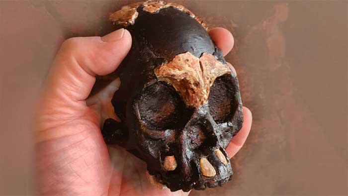 Hộp sọ tí hon: loài người ma sống song song chúng ta 100.000 năm