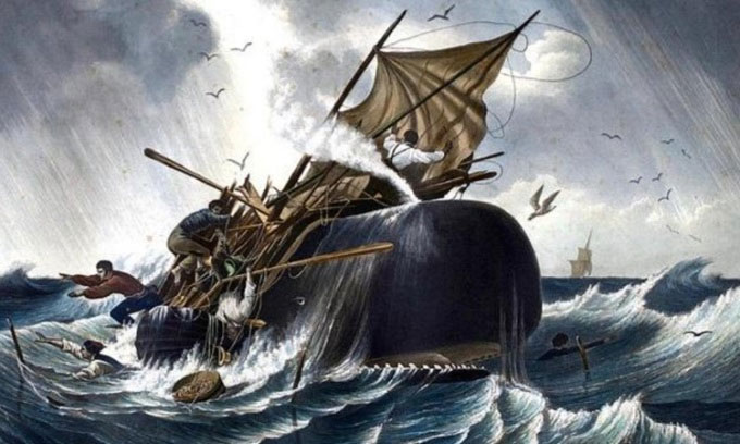 Hung thần cá voi khiến thủy thủ Constantinope khiếp sợ