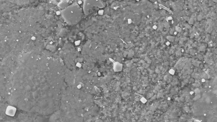 Hy vọng của các nhà khoa học tan biến khi thiên thạch Wichcombe bị nhiễm muối ăn