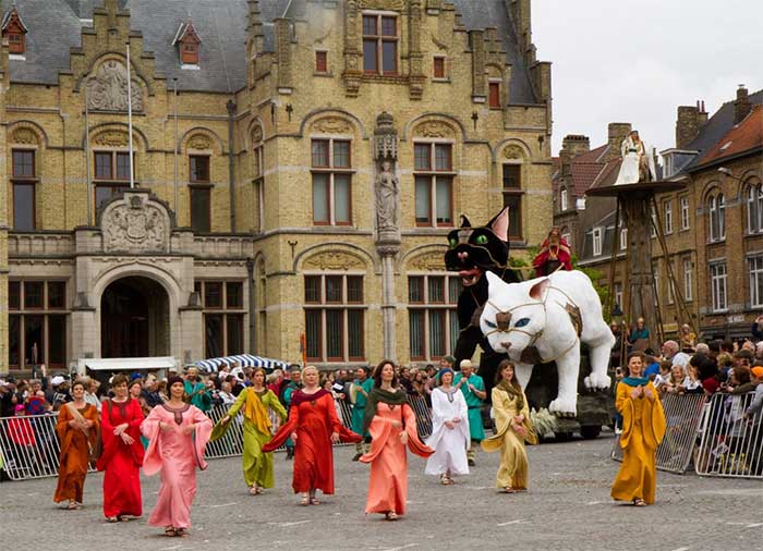 Kattenstoet - Lễ hội mèo lâu đời nhất ở Bỉ