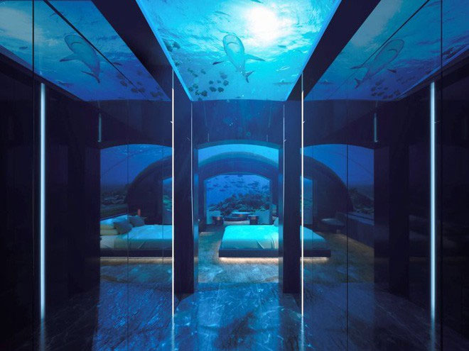 Khách sạn dưới biển đầu tiên trên thế giới, nơi bạn có thể ngủ cạnh cá mập chỉ với 1 tỷ/1 đêm