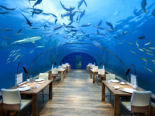 Khách sạn dưới biển đầu tiên trên thế giới, nơi bạn có thể ngủ cạnh cá mập chỉ với 1 tỷ/1 đêm