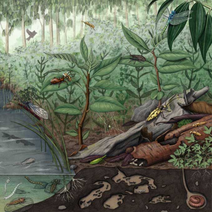 Khai quật kho báu hóa thạch chứa tới 2.000 mẫu vật