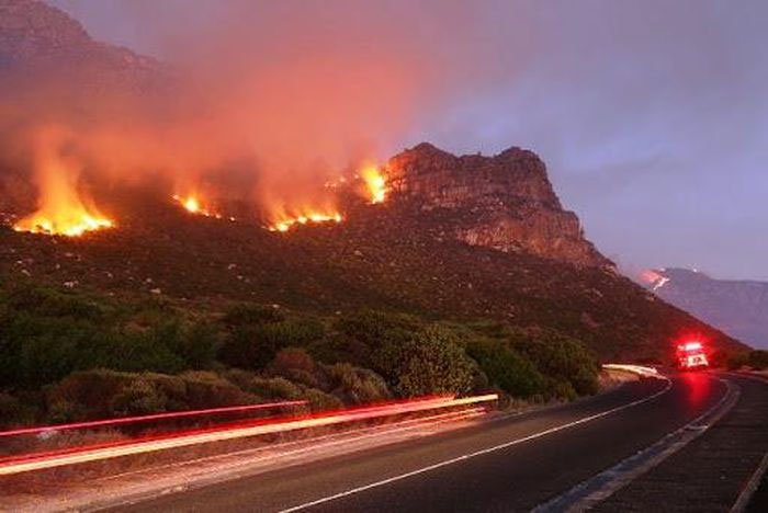 Khám phá Cape Floral: Vương quốc hoa lửa