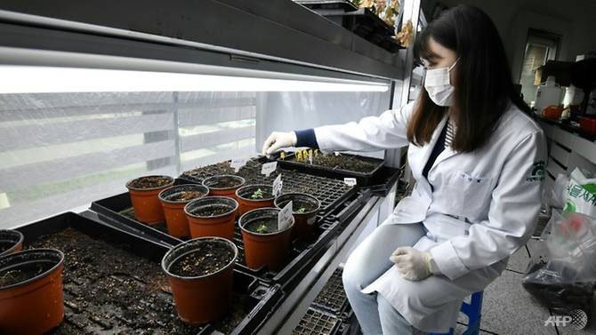 Khám phá hầm tận thế dự trữ gần 100.000 hạt giống ở Hàn Quốc