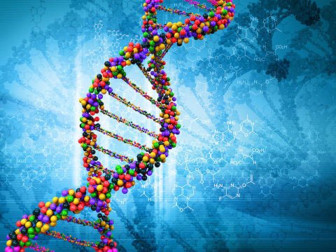 Khám phá mới: Tế bào của người có thể tự điều chỉnh chuỗi RNA thành DNA