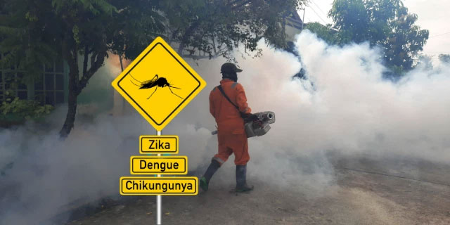 Khi thuốc diệt muỗi không giết được chúng, những con muỗi đang ngày một mạnh hơn