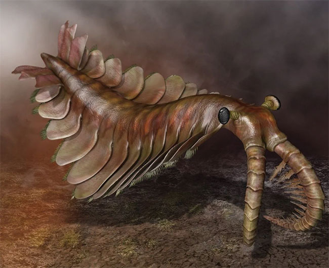 Không phải Megalodon, 5 loài này mới thực sự là quái vật mạnh nhất đại dương cổ đại