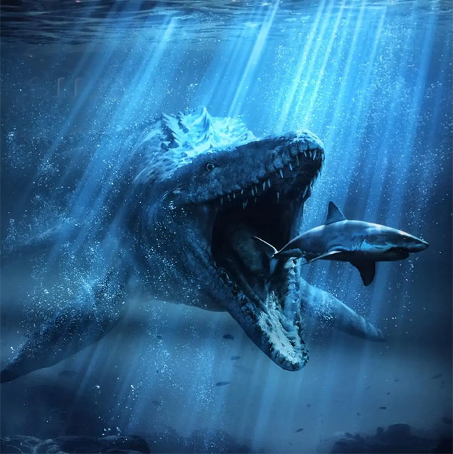 Không phải Megalodon, 5 loài này mới thực sự là quái vật mạnh nhất đại dương cổ đại