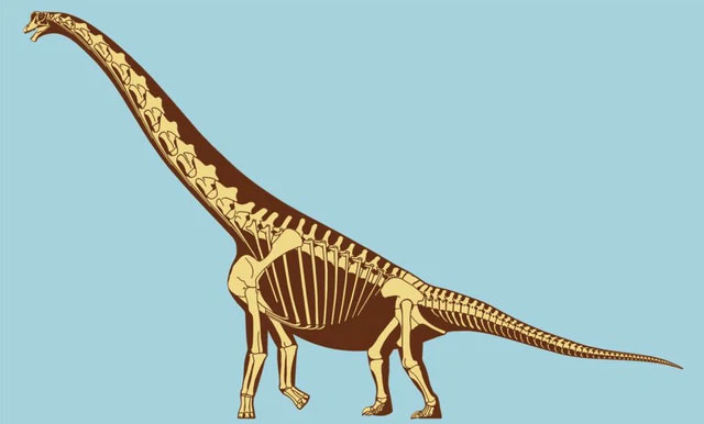 Khủng long Brachiosaurus, chỉ cần nôn thôi đã có thể giết được bạn rồi!