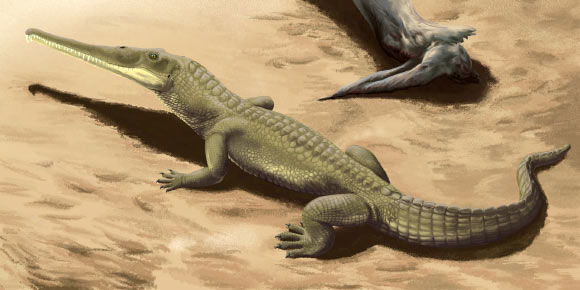 Khủng long lai cá sấu dài 8m hiện hình ở Ấn Độ sau 200 triệu năm tuyệt tích