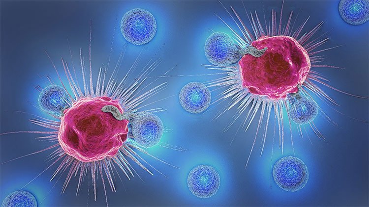Kích hoạt tế bào NK để tăng hệ miễn dịch tự nhiên cho người ung thư