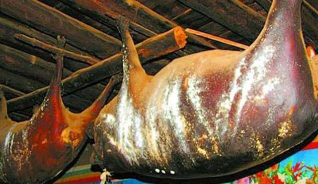 Kinh dị đặc sản lợn nguyên con treo trên trần nhà 30 năm và bốc mùi hôi thối