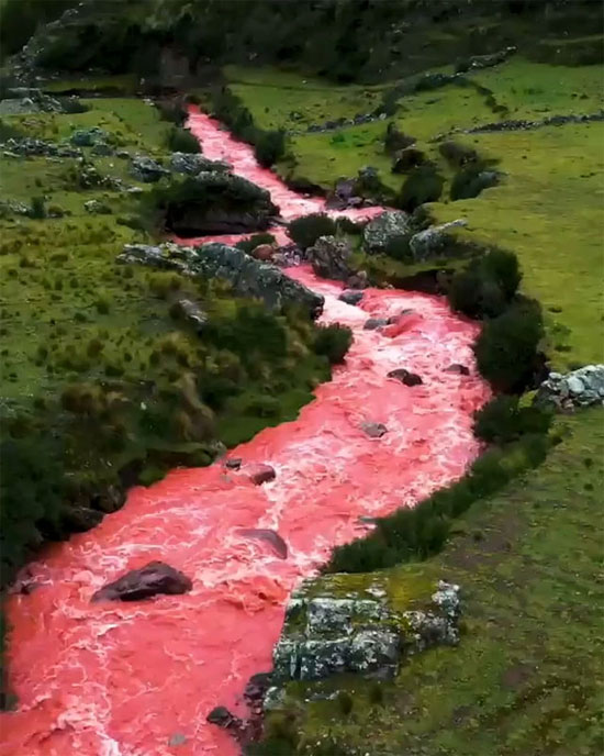 Kinh ngạc con sông có màu nước hồng rực ở Peru