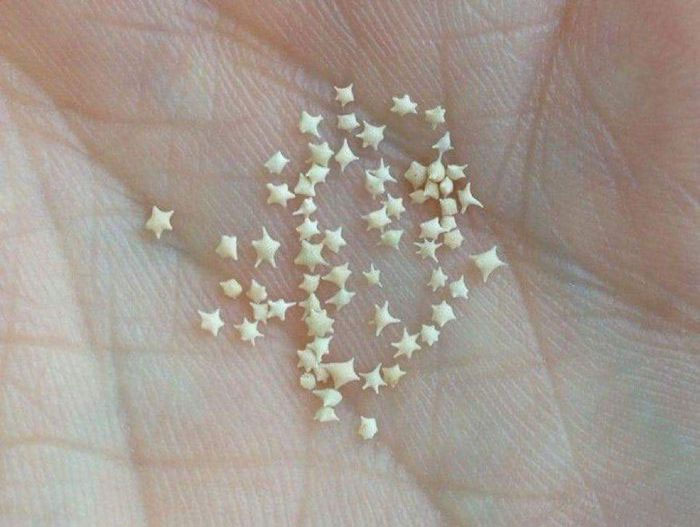 Kỳ lạ bãi biển có những hạt cát hình ngôi sao