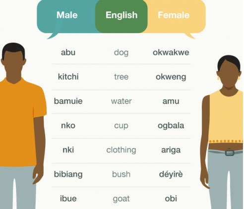 Kỳ lạ ngôi làng ở Nigeria nơi đàn ông và phụ nữ nói 2 ngôn ngữ khác nhau