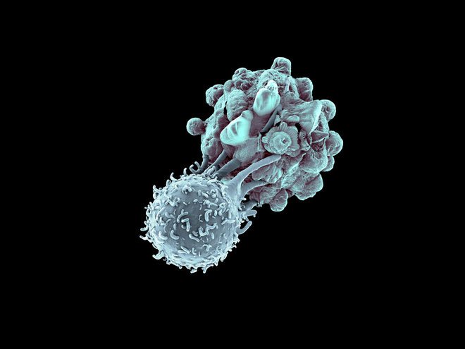 Lần đầu tiên, ba bệnh nhân ung thư ở Mỹ được điều trị bằng kỹ thuật chỉnh sửa gene CRISPR