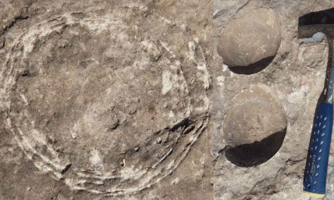 Lần đầu tiên phát hiện hóa thạch trứng trong trứng khủng long