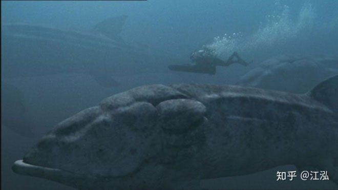 Leedsichthys: Máy hút bụi của biển cả Kỷ Jura từng bị hiểu nhầm là khủng long
