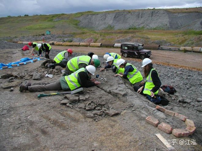 Leedsichthys: Máy hút bụi của biển cả Kỷ Jura từng bị hiểu nhầm là khủng long