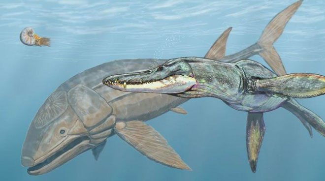 Leedsichthys: Máy hút bụi của biển cả Kỷ Jura từng bị hiểu nhầm là khủng long