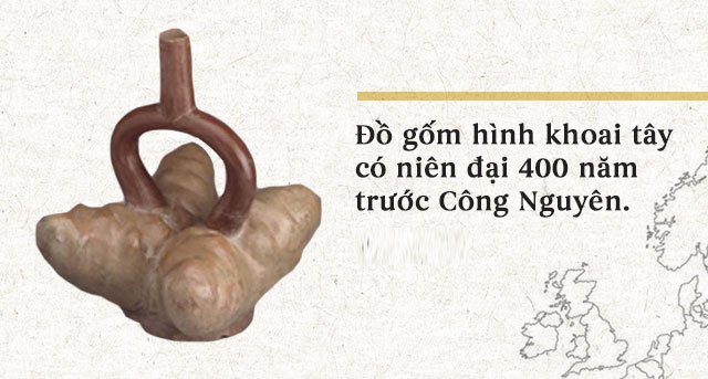 Lịch sử thú vị của khoai tây: “Quả táo quỷ” đem thịnh vượng đến cho những đế quốc