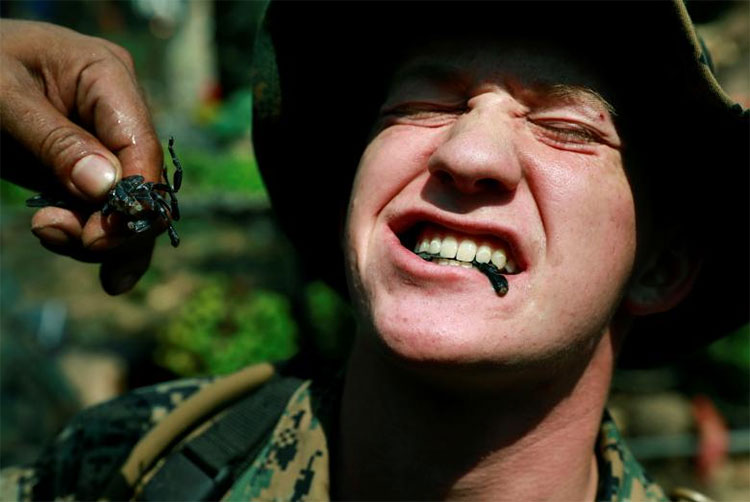 Lính Mỹ uống máu rắn hổ mang, nhai bọ cạp sống để sinh tồn
