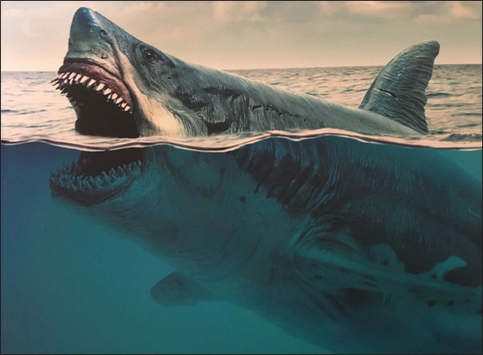 Loài cá quen thuộc này đã đẩy quái thú Megalodon tới bờ tuyệt chủng