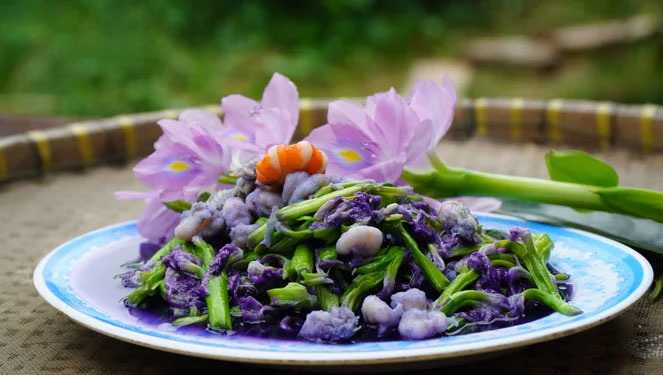 Loại cây người Việt thường vứt bỏ hóa ra lại là vị thuốc quý, món ăn ngon tại nhiều nước