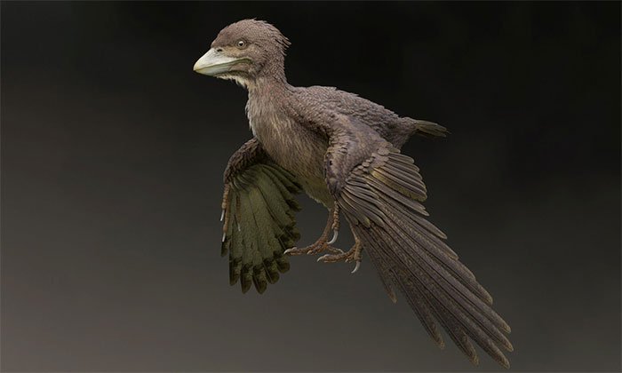 Loài chim nguyên thủy cùng thời khủng long