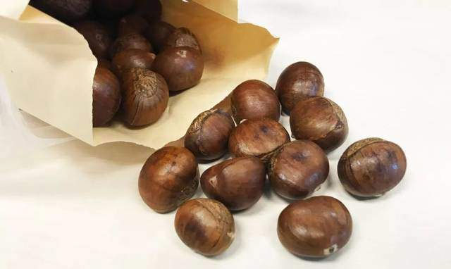 Loại hạt được coi là “quả nhân sâm” có tác dụng ngừa ung thư, rất phổ biến vào mùa đông